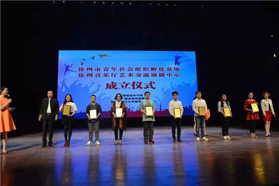 改革進行時 | 徐州市青年社會組織孵化基地正式成立，引領文化藝術交流新篇章