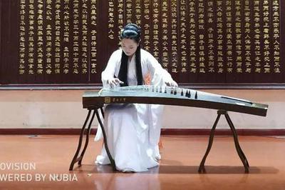 第八屆中國(國際)器樂文化藝術節南陽站演出活動圓滿舉行，助推文化藝術交流新篇章